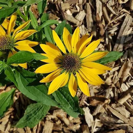 Διαμέρισμα Inselhof Usedom